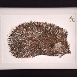 Hedgie